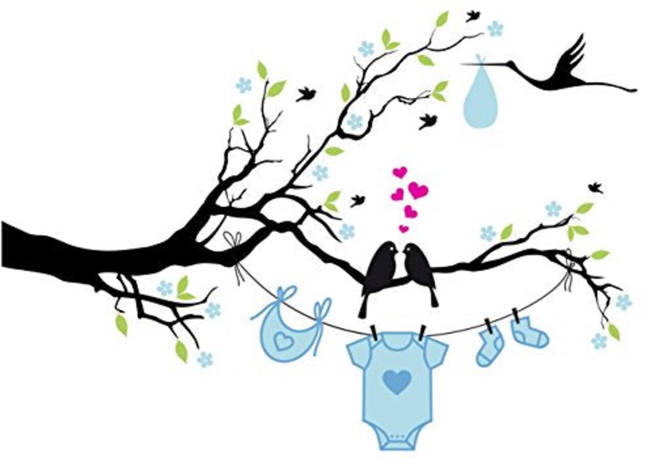 Love Birds Boy Baby Shower Edible Cake Image Topper 7.5" round by Whimsical Practicality